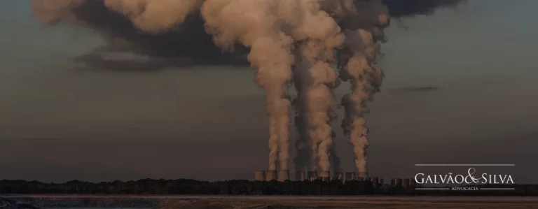 Dano Ambiental Individual: Desafios e Soluções Legais