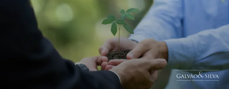 Dicas para sua Empresa se Preparar para uma Auditoria Ambiental