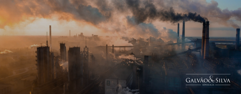 Multas De Infracao Ambiental