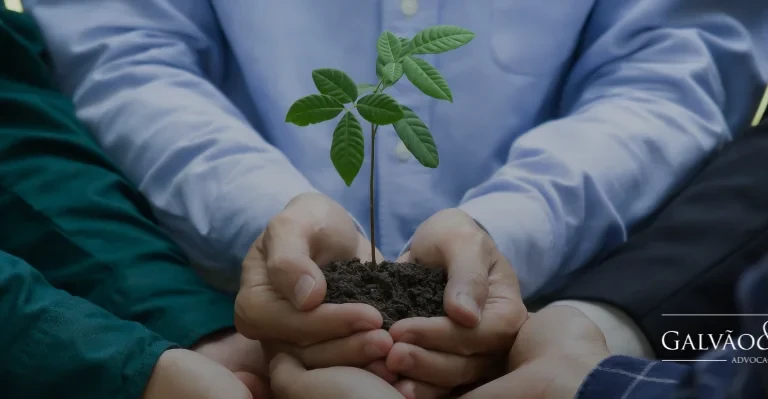 Sustentabilidade e Responsabilidade Social: Entenda o Processo