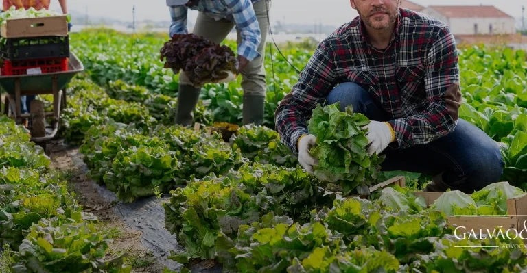 Prescrição de Dívida Agrária: Compreenda o Processo