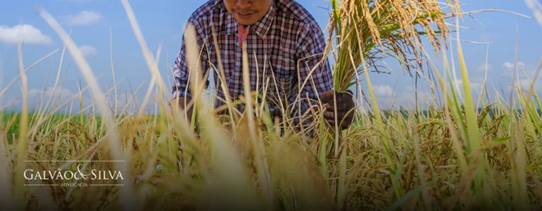 Tempo de Serviço Rural: Como Comprovar e Garantir Seus Direitos Previdenciários