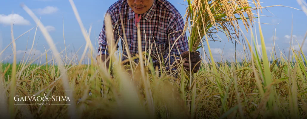 tempo de serviço rural