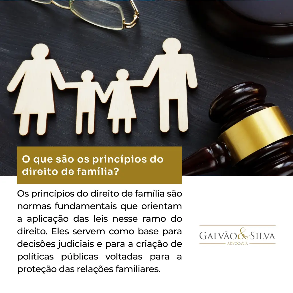 O que são os princípios do direito de família (2)