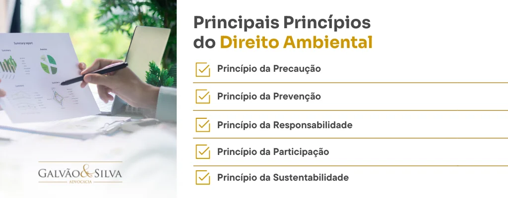 Principais princípios do direito ambiental (1)